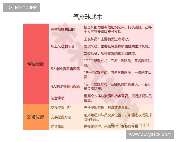 上海排球队的战术变革与球员角色转换全解析 上海排球队的战术变革与球员角色转换全解析