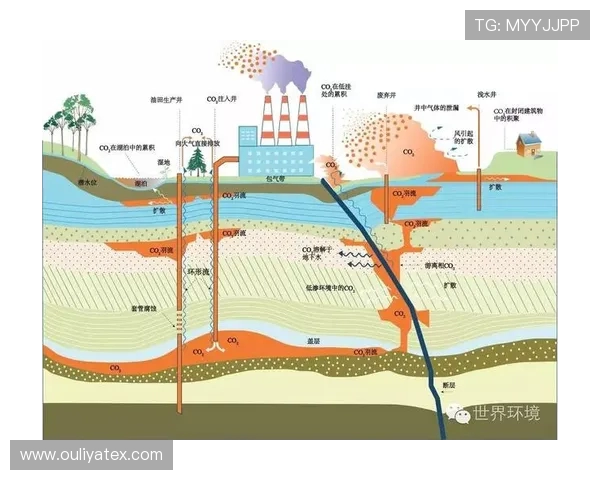 V5在冠军杯中的状态分析与表现评估全面解读 V5在冠军杯中的状态分析与表现评估全面解读