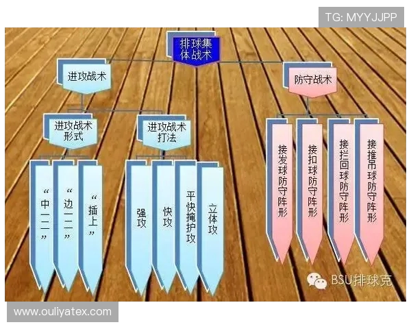 南京排球队战术对比深度解析与未来发展方向探讨 南京排球队战术对比深度解析与未来发展方向探讨