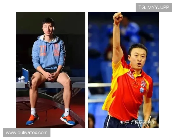 对话杨磊：回顾乒乓球生涯的辉煌与挑战