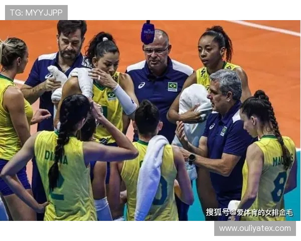 广州排球队战术表现深度分析与数据解读探讨 广州排球队战术表现深度分析与数据解读探讨