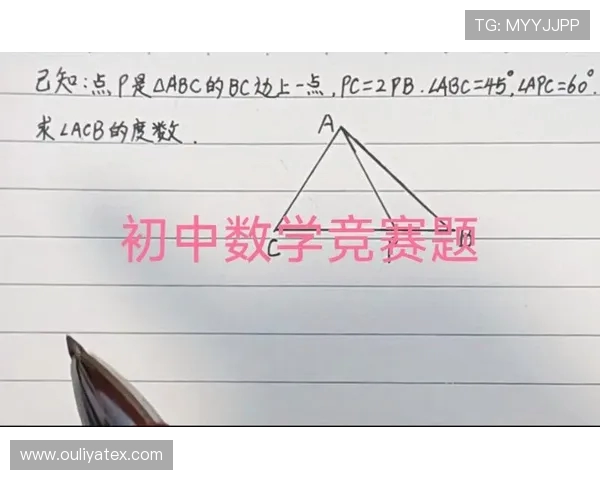 成都羽毛球队技术探讨:提升竞技水平与战术创新的关键因素分析