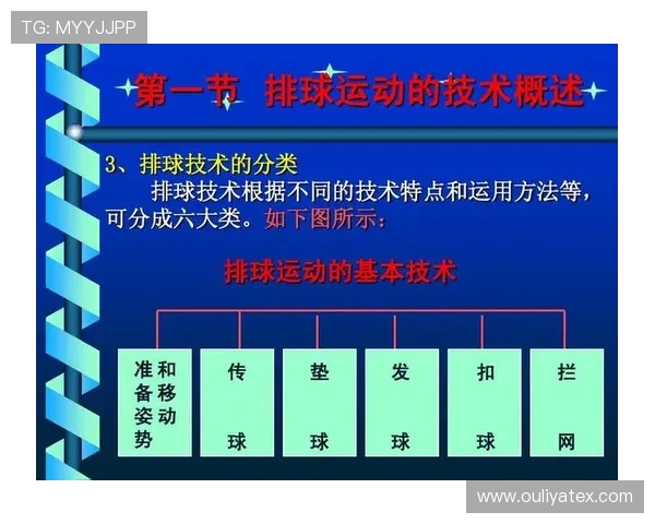 深圳排球队在精英赛中的灵活性展现与战术调整分析