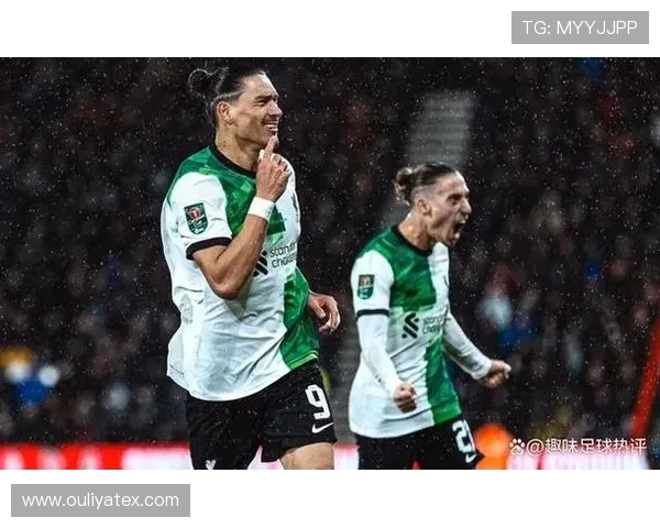 努涅斯的崛起与挑战：从新星到足球界的焦点球员之路