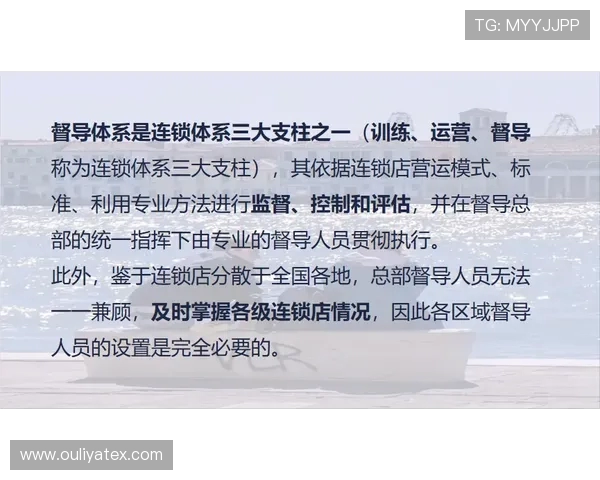 武汉极限运动队战术解析与训练策略探讨专题