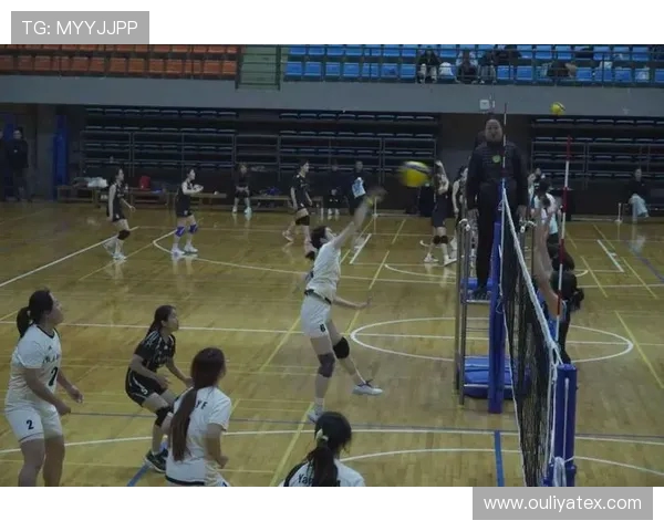 南京排球队的节奏之旅：探索排球背后的激情与团队精神