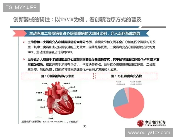 广州与武汉排球队赛后复盘分析比赛经验与战术调整的深度探讨